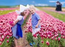 Тури в Нідерланди в парк квітів Кекенхоф